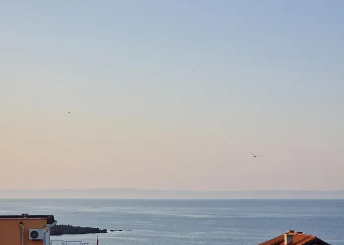 Πανσιόν Exotic Σωζόπολη
