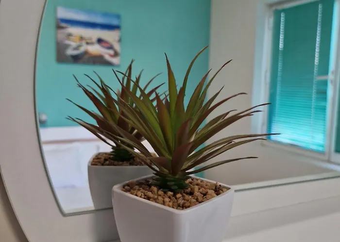 Πανσιόν Exotic 3*
